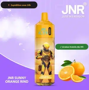 JNR Sunny Orange Rind – JNR Alien 10000 | 10K Puffs Disposable Vape