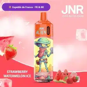 Strawberry Watermelon Ice – JNR Alien 10000 | 10K Puffs Disposable Vape