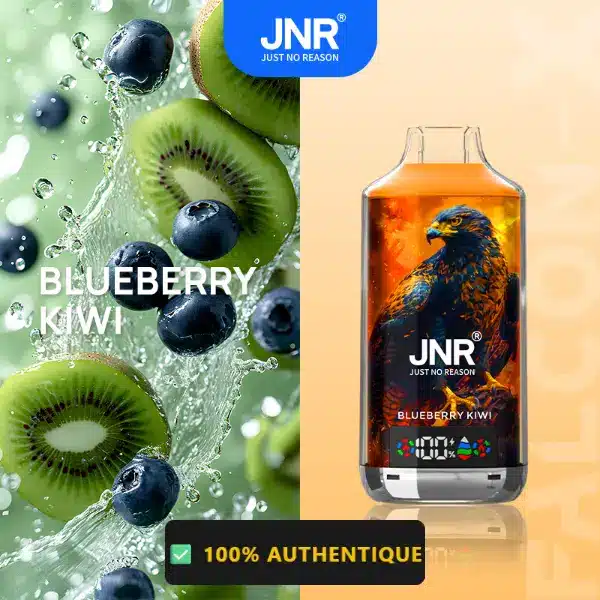Blueberry Kiwi - JNR Falcon X 18K | 18000 Puffs Disposable Vape