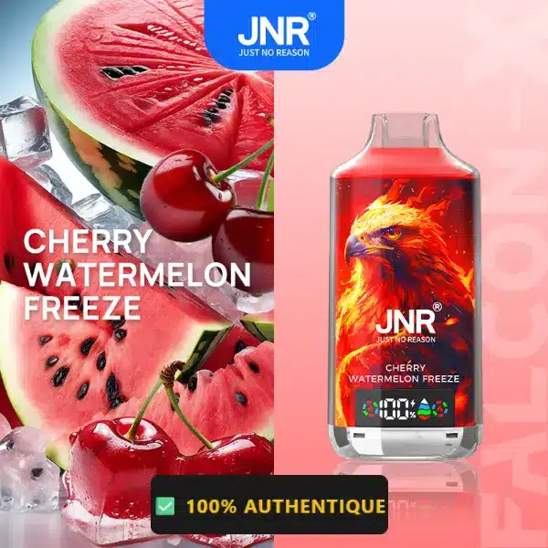 Cherry Watermelon Freeze - JNR Falcon X 18K | 18000 Puffs Disposable Vape