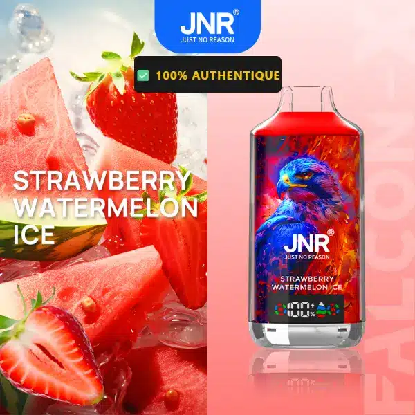 Strawberry Watermelon Ice - JNR Falcon X 18K | 18000 Puffs Disposable Vape
