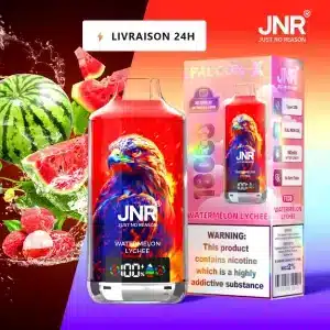 Watermelon Lychee - JNR Falcon X 18K | 18000 Puffs Disposable Vape